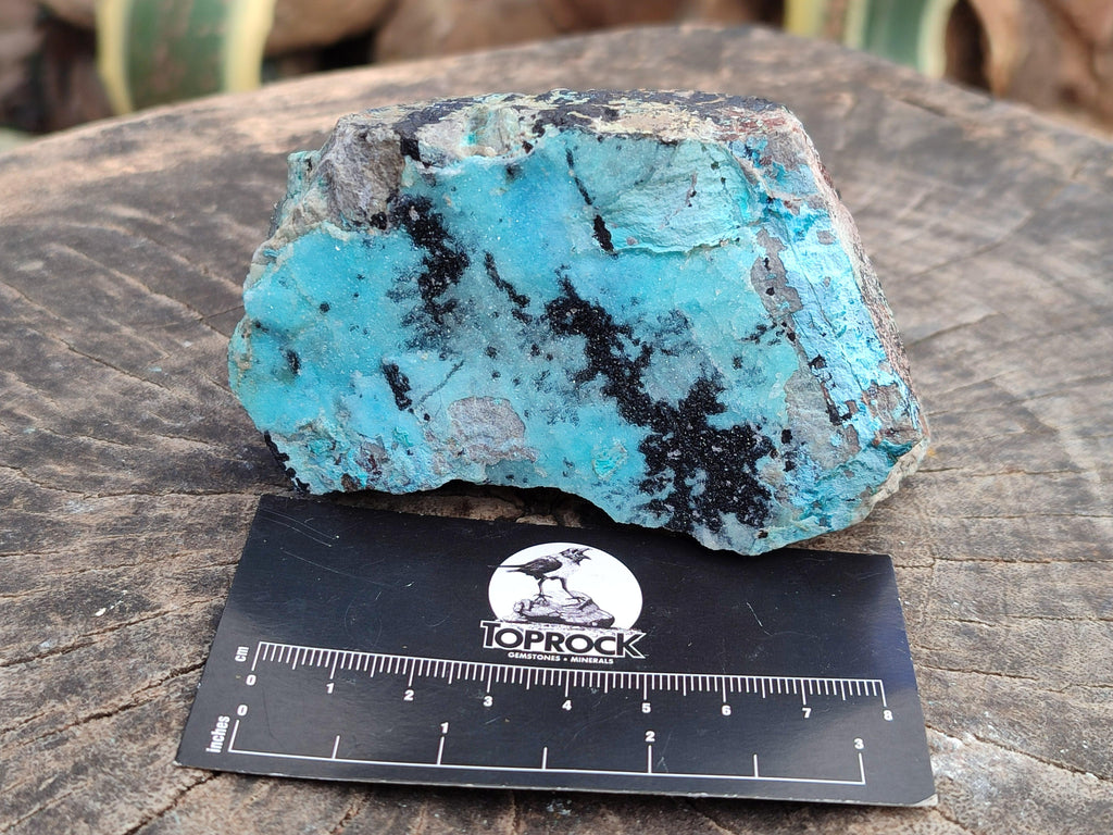 Natural Drusy Coated Chrysocolla On Dolomite With Malachite And Heterogenite Specimens x 6 From Lupoto Mine, Congo