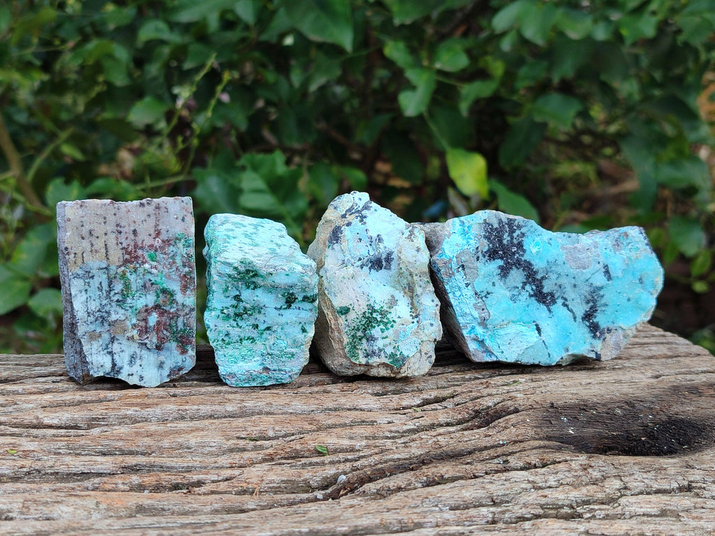 Natural Drusy Coated Chrysocolla On Dolomite With Malachite And Heterogenite Specimens x 6 From Lupoto Mine, Congo