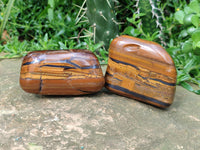 Polished Jumbo Golden Tiger's Eye Free Forms x 6 From Prieska, South Africa