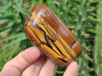 Polished Jumbo Golden Tiger's Eye Free Forms x 6 From Prieska, South Africa