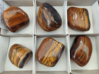 Polished Jumbo Golden Tiger's Eye Free Forms x 6 From Prieska, South Africa