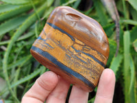 Polished Jumbo Golden Tiger's Eye Free Forms x 6 From Prieska, South Africa