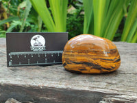 Polished Jumbo Golden Tiger's Eye Free Forms x 6 From Prieska, South Africa