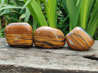 Polished Jumbo Golden Tiger's Eye Free Forms x 6 From Prieska, South Africa