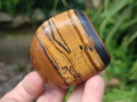 Polished Jumbo Golden Tiger's Eye Free Forms x 6 From Prieska, South Africa