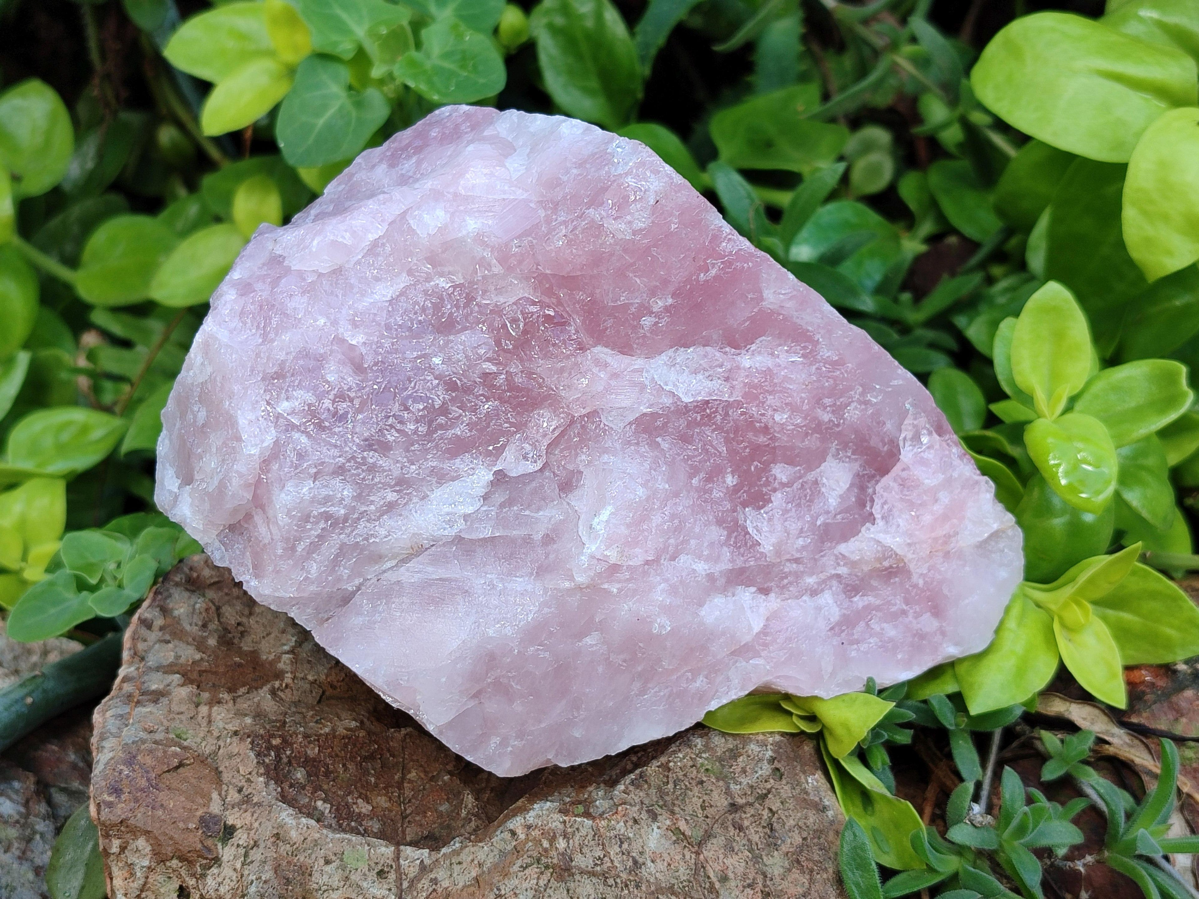 Natural Cobbed Rose Quartz Specimens x 4 From Northern Cape
