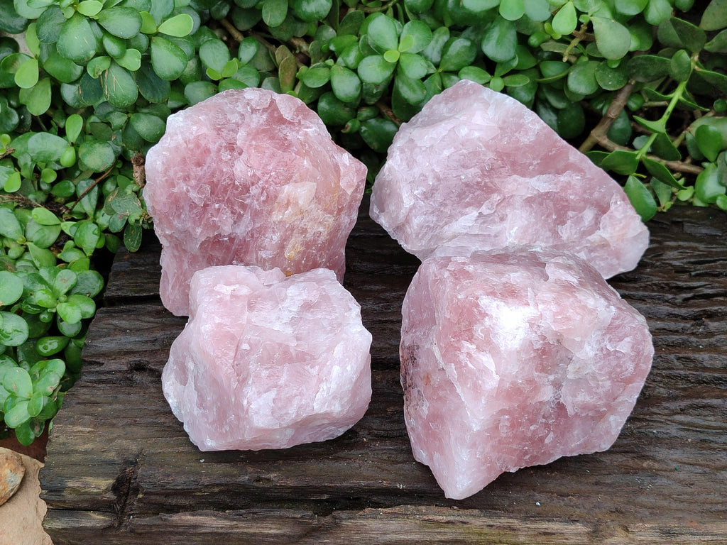 Natural Cobbed Rose Quartz Specimens x 4 From Northern Cape