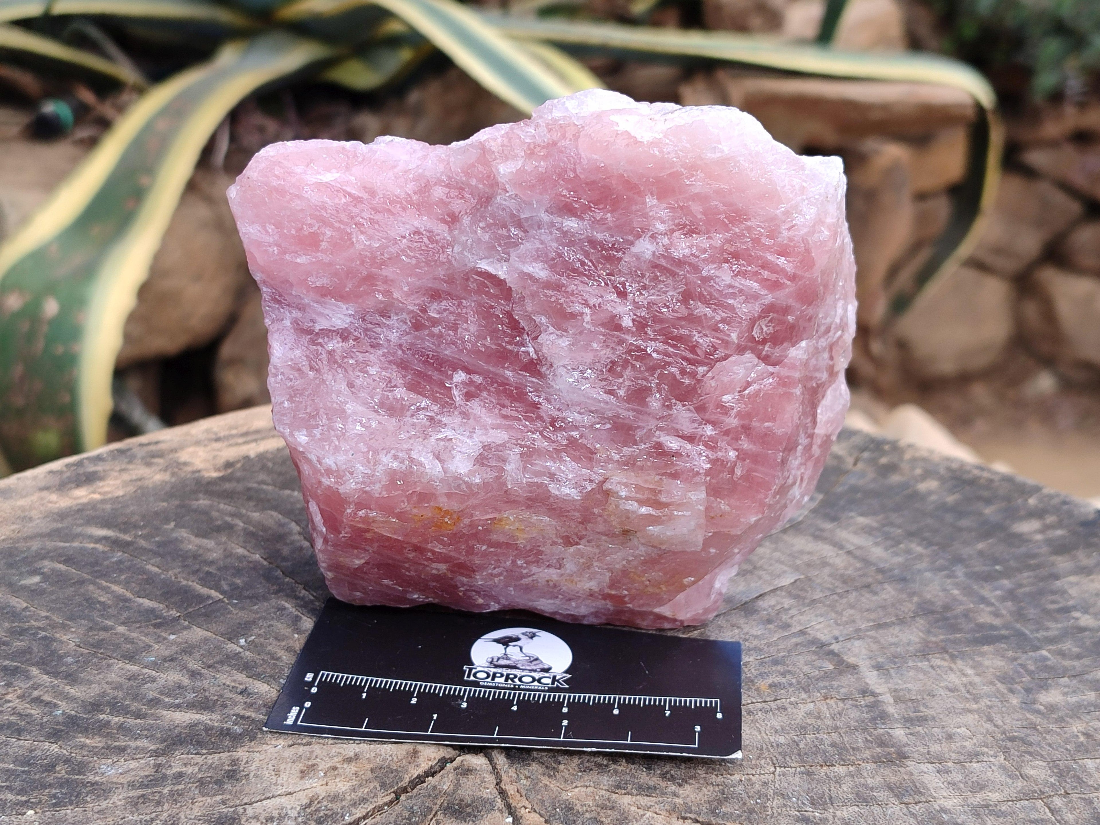 Natural Cobbed Rose Quartz Specimens x 4 From Northern Cape
