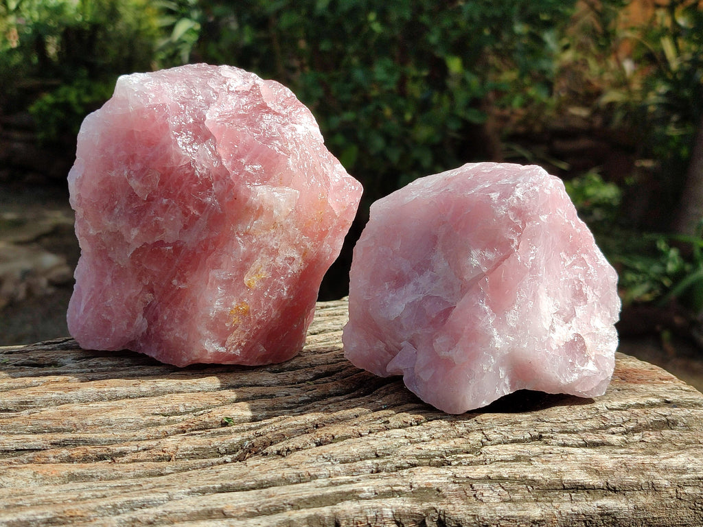 Natural Cobbed Rose Quartz Specimens x 4 From Northern Cape
