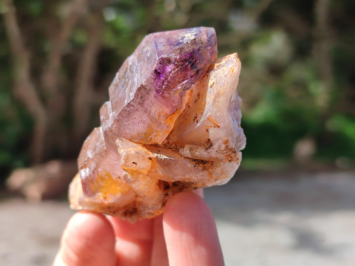 Natural Window Amethyst Crystals x 6 From Chiredzi, Zimbabwe