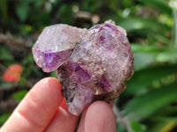 Natural Window Amethyst Crystals x 6 From Chiredzi, Zimbabwe