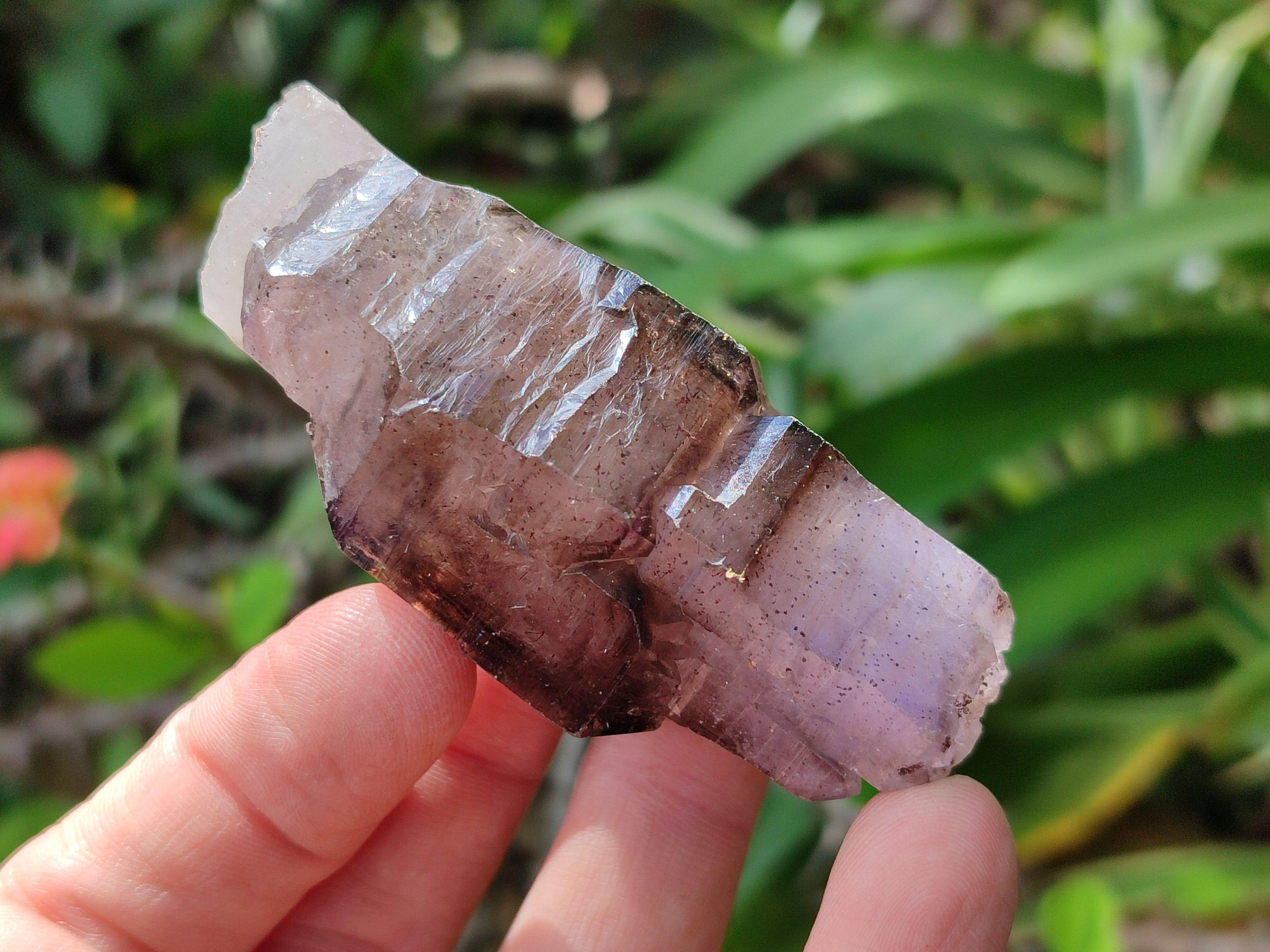 Natural Window Amethyst Crystals x 6 From Chiredzi, Zimbabwe