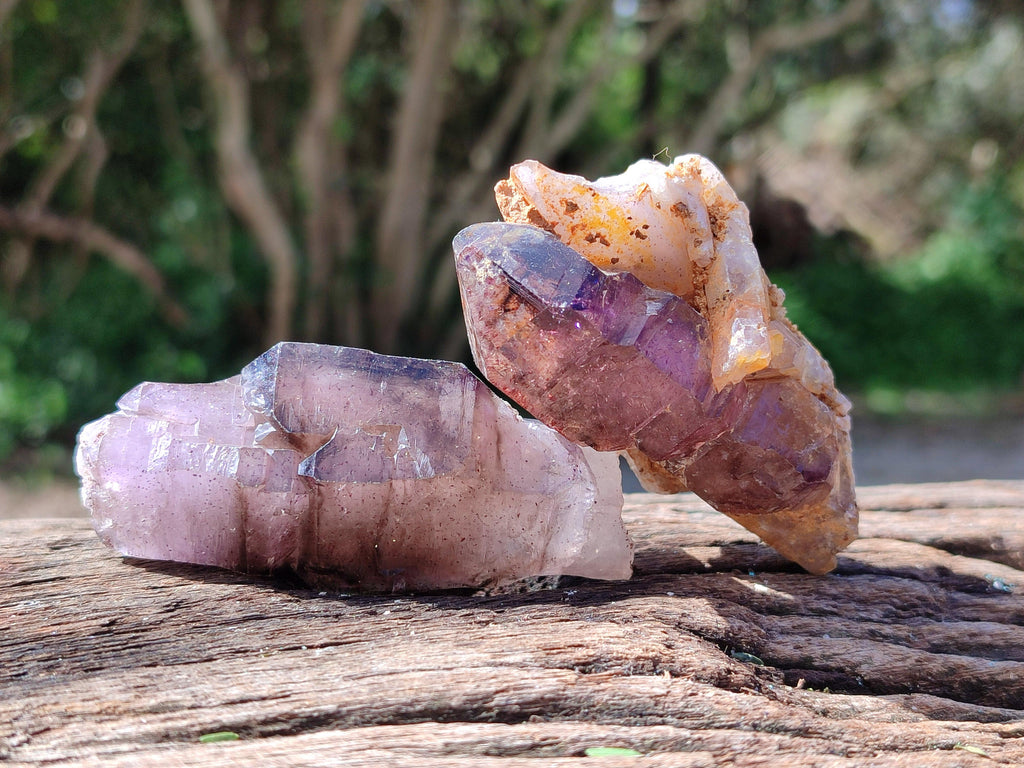 Natural Window Amethyst Crystals x 6 From Chiredzi, Zimbabwe