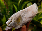 Natural Drusy Quartz Coated Calcite Spearhead Crystals x 12 From Alberts Mountain, Lesotho