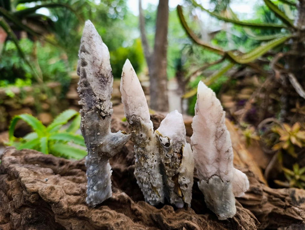 Natural Drusy Quartz Coated Calcite Spearhead Crystals x 12 From Alberts Mountain, Lesotho