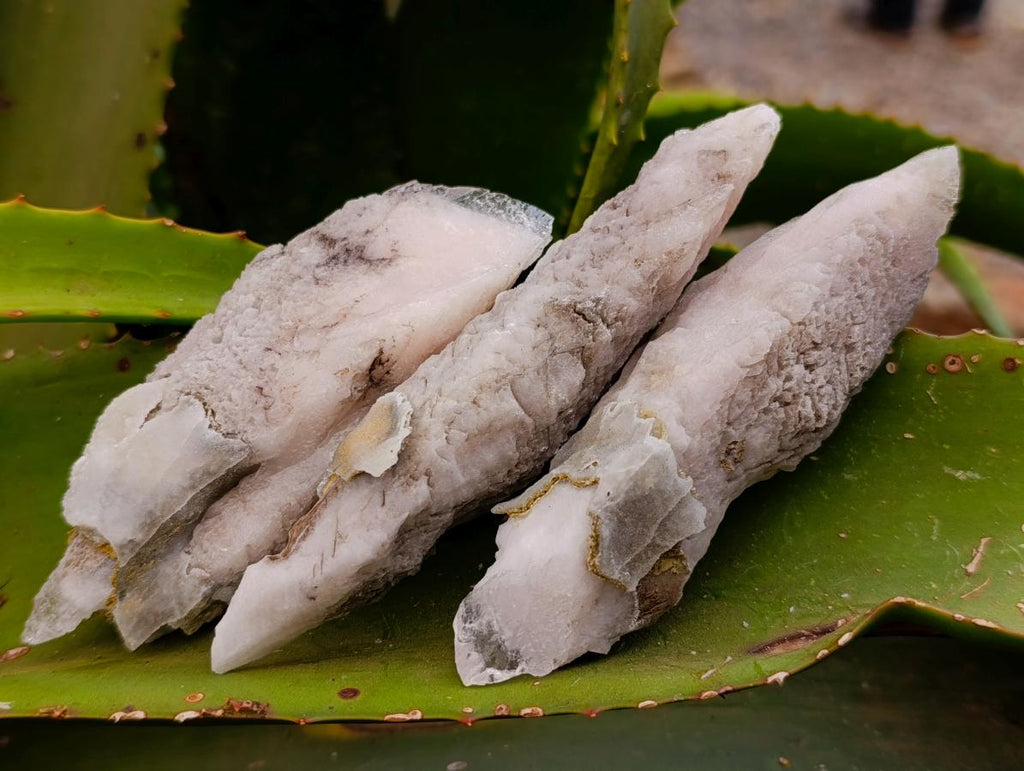 Natural Drusy Quartz Coated Calcite Spearhead Crystals x 12 From Alberts Mountain, Lesotho