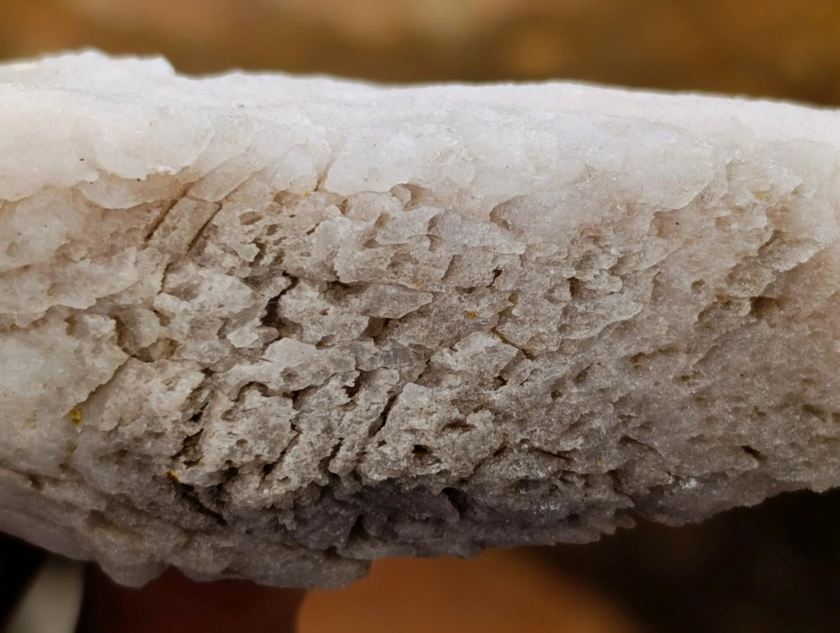 Natural Drusy Quartz Coated Calcite Spearhead Crystals x 12 From Alberts Mountain, Lesotho