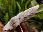 Natural Drusy Quartz Coated Calcite Spearhead Crystals x 12 From Alberts Mountain, Lesotho