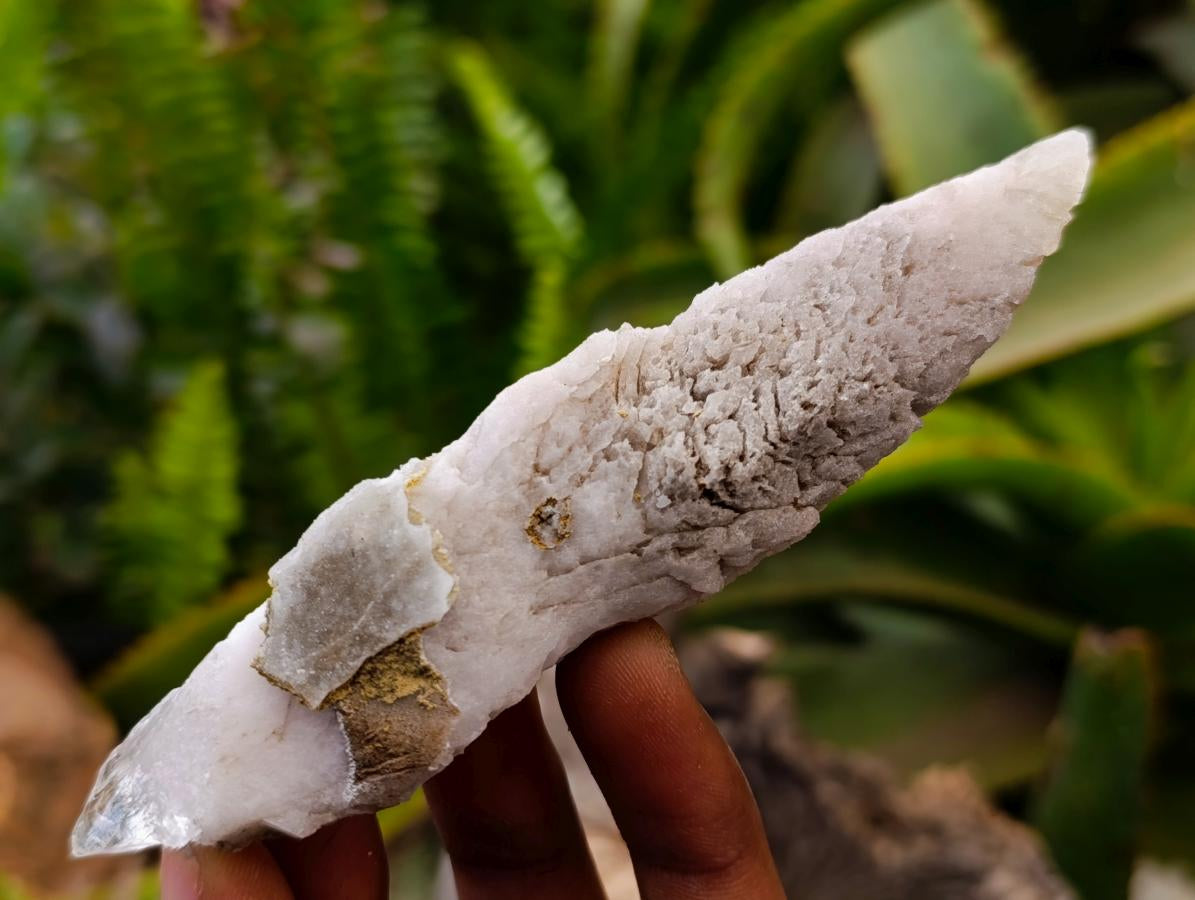 Natural Drusy Quartz Coated Calcite Spearhead Crystals x 12 From Alberts Mountain, Lesotho
