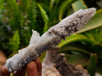 Natural Drusy Quartz Coated Calcite Spearhead Crystals x 12 From Alberts Mountain, Lesotho