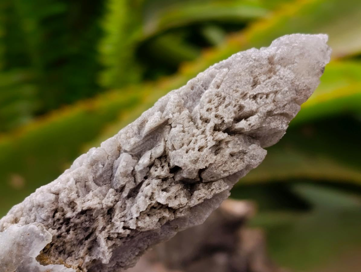Natural Drusy Quartz Coated Calcite Spearhead Crystals x 12 From Alberts Mountain, Lesotho