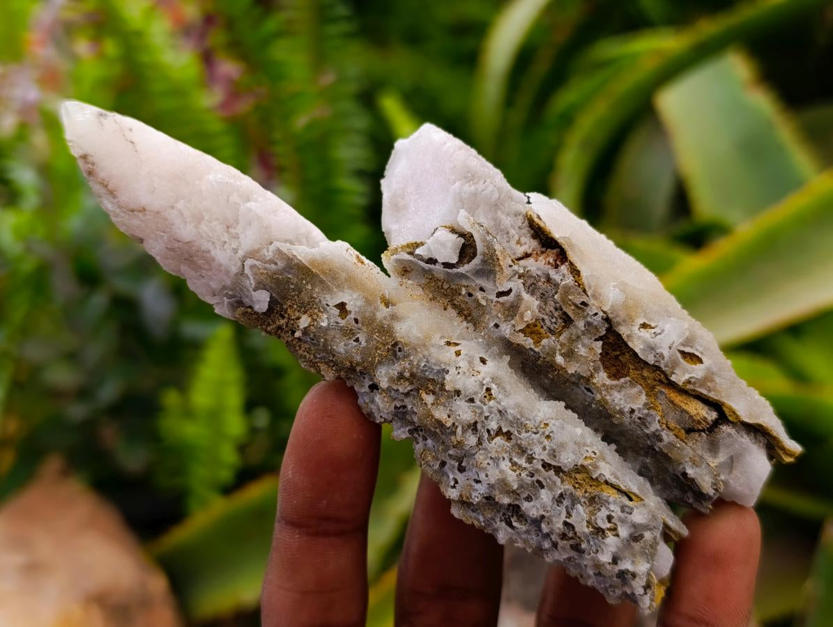 Natural Drusy Quartz Coated Calcite Spearhead Crystals x 12 From Alberts Mountain, Lesotho
