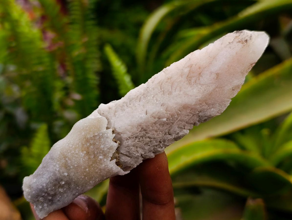 Natural Drusy Quartz Coated Calcite Spearhead Crystals x 12 From Alberts Mountain, Lesotho