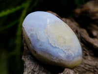 Polished Red Shashe River Agate Free Forms x 28 From Shashe River, Zimbabwe