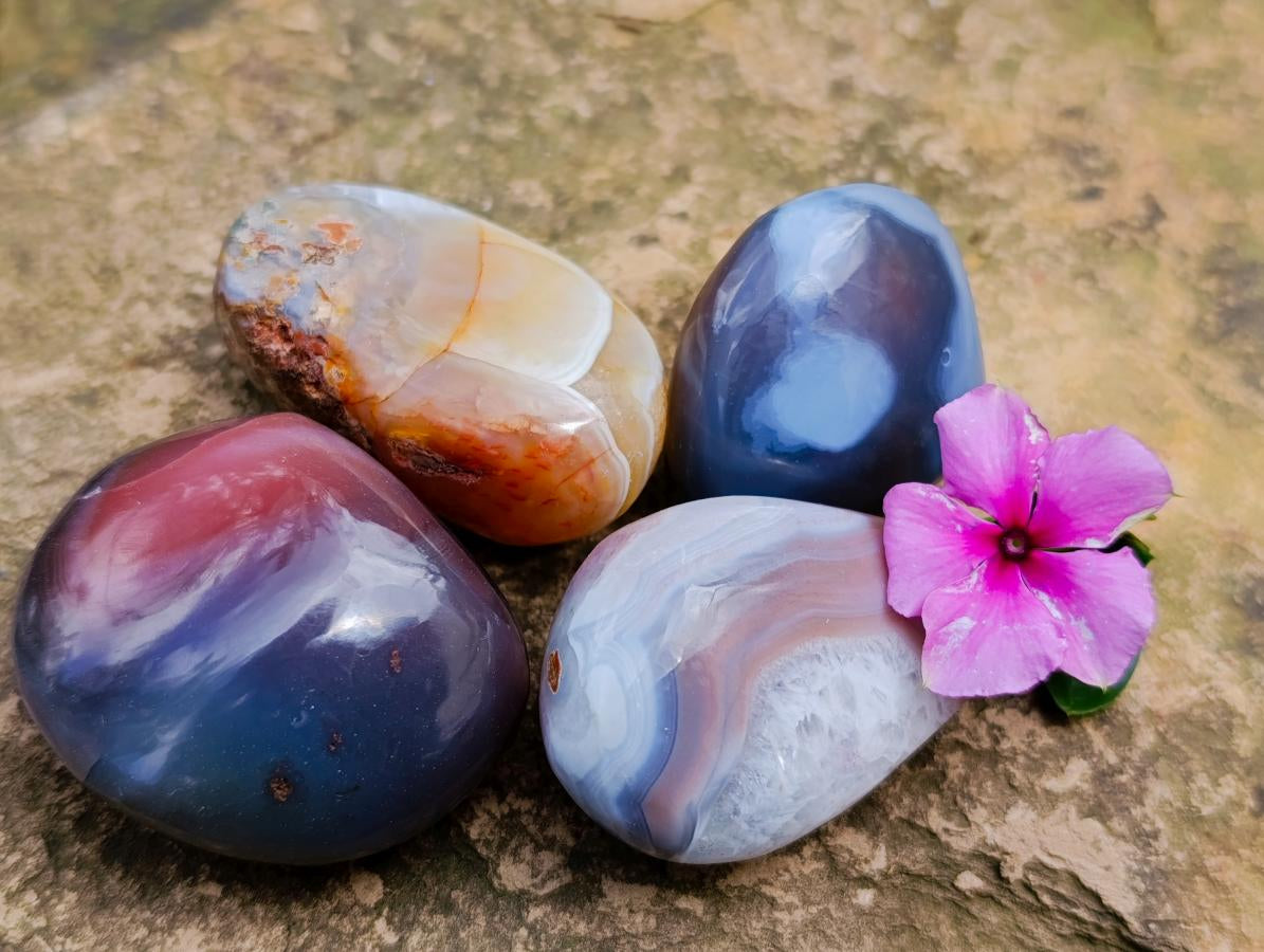 Polished Red Shashe River Agate Free Forms x 28 From Shashe River, Zimbabwe - Toprock Gemstones and Minerals 