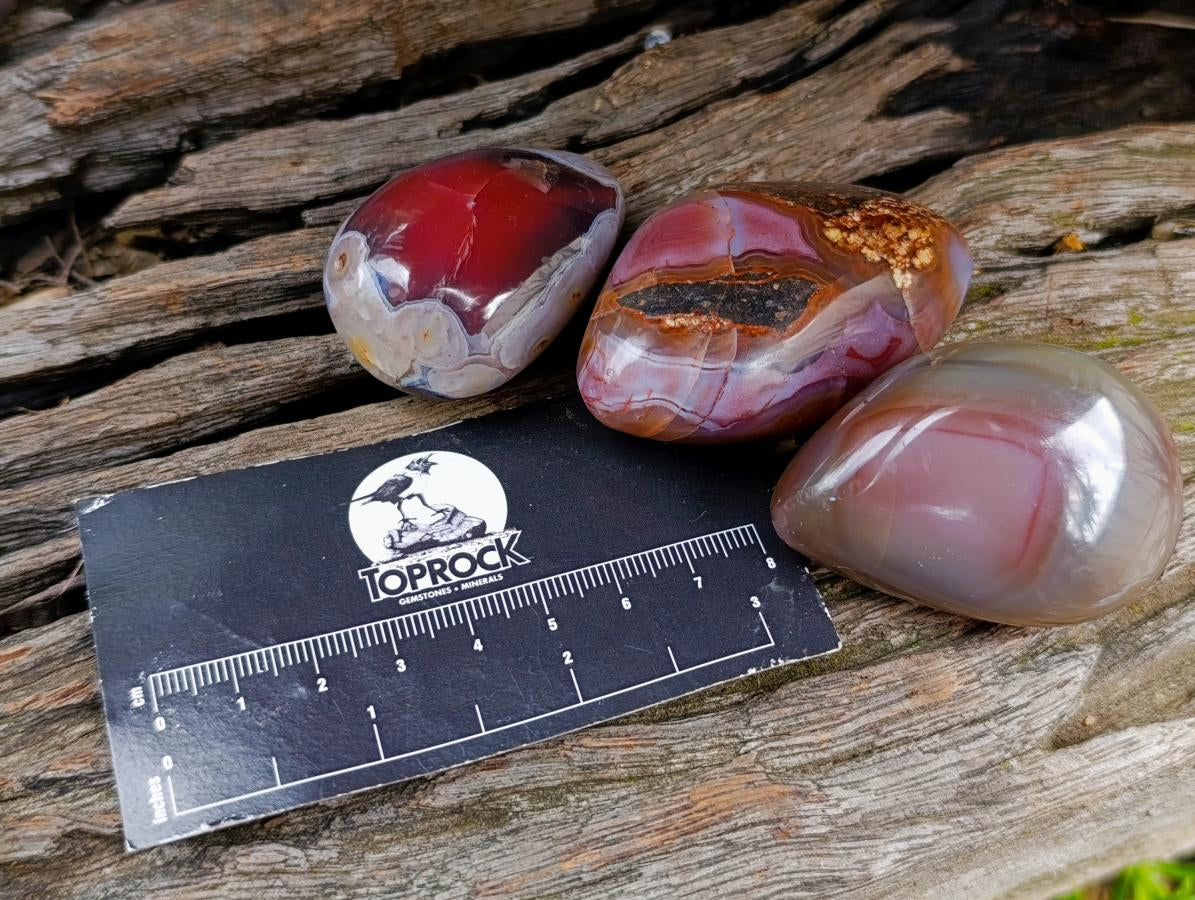 Polished Red Shashe River Agate Free Forms x 28 From Shashe River, Zimbabwe - Toprock Gemstones and Minerals 