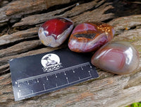Polished Red Shashe River Agate Free Forms x 28 From Shashe River, Zimbabwe