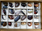 Polished Red Shashe River Agate Free Forms x 28 From Shashe River, Zimbabwe - Toprock Gemstones and Minerals 