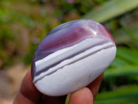 Polished Red Shashe River Agate Free Forms x 28 From Shashe River, Zimbabwe