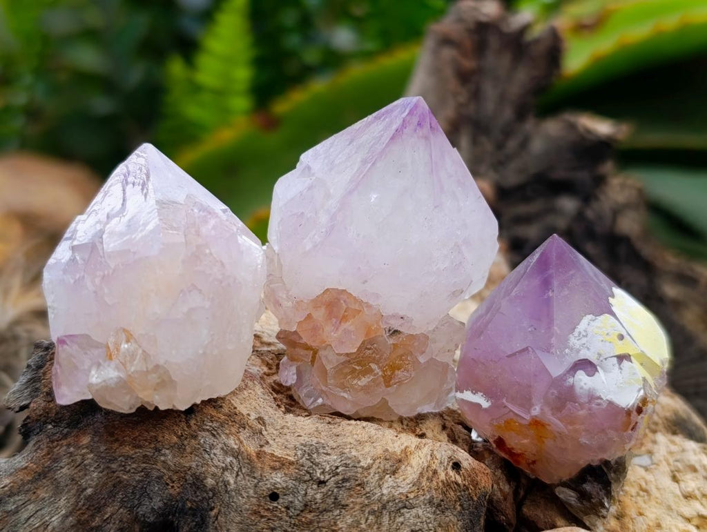 Natural Mixed Amethyst Spirit Quartz Clusters x 35 From Boekenhouthoek, South Africa