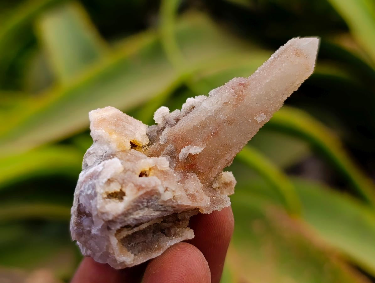 Natural Mixed Amethyst Spirit Quartz Clusters x 35 From Boekenhouthoek, South Africa