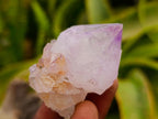 Natural Mixed Amethyst Spirit Quartz Clusters x 35 From Boekenhouthoek, South Africa