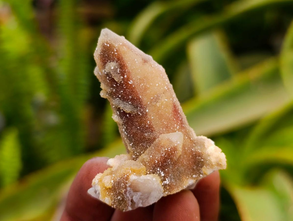 Natural Mixed Amethyst Spirit Quartz Clusters x 35 From Boekenhouthoek, South Africa