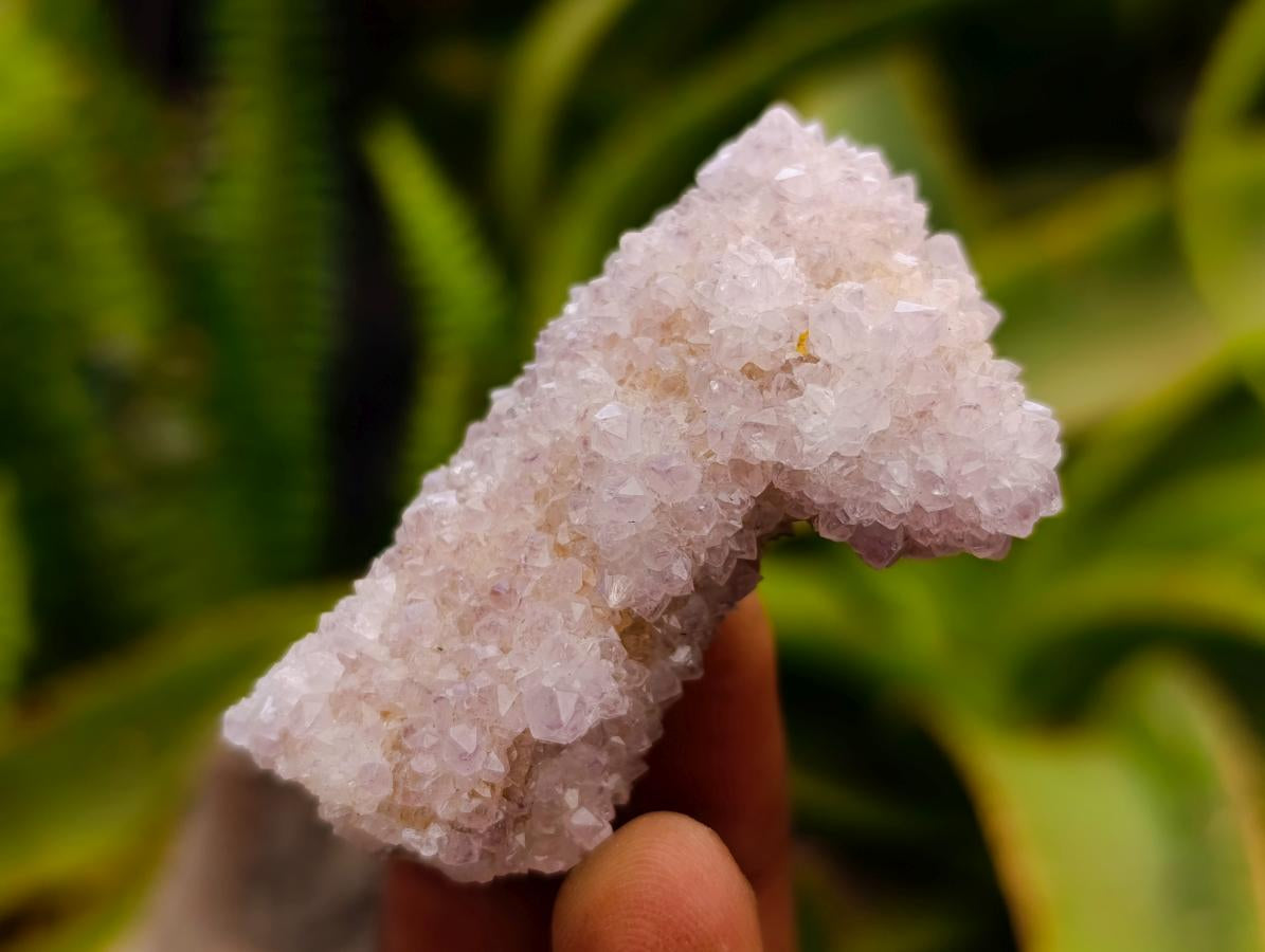 Natural Mixed Amethyst Spirit Quartz Clusters x 35 From Boekenhouthoek, South Africa