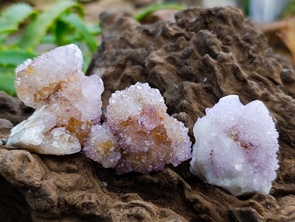 Natural Mixed Amethyst Spirit Quartz Clusters x 35 From Boekenhouthoek, South Africa