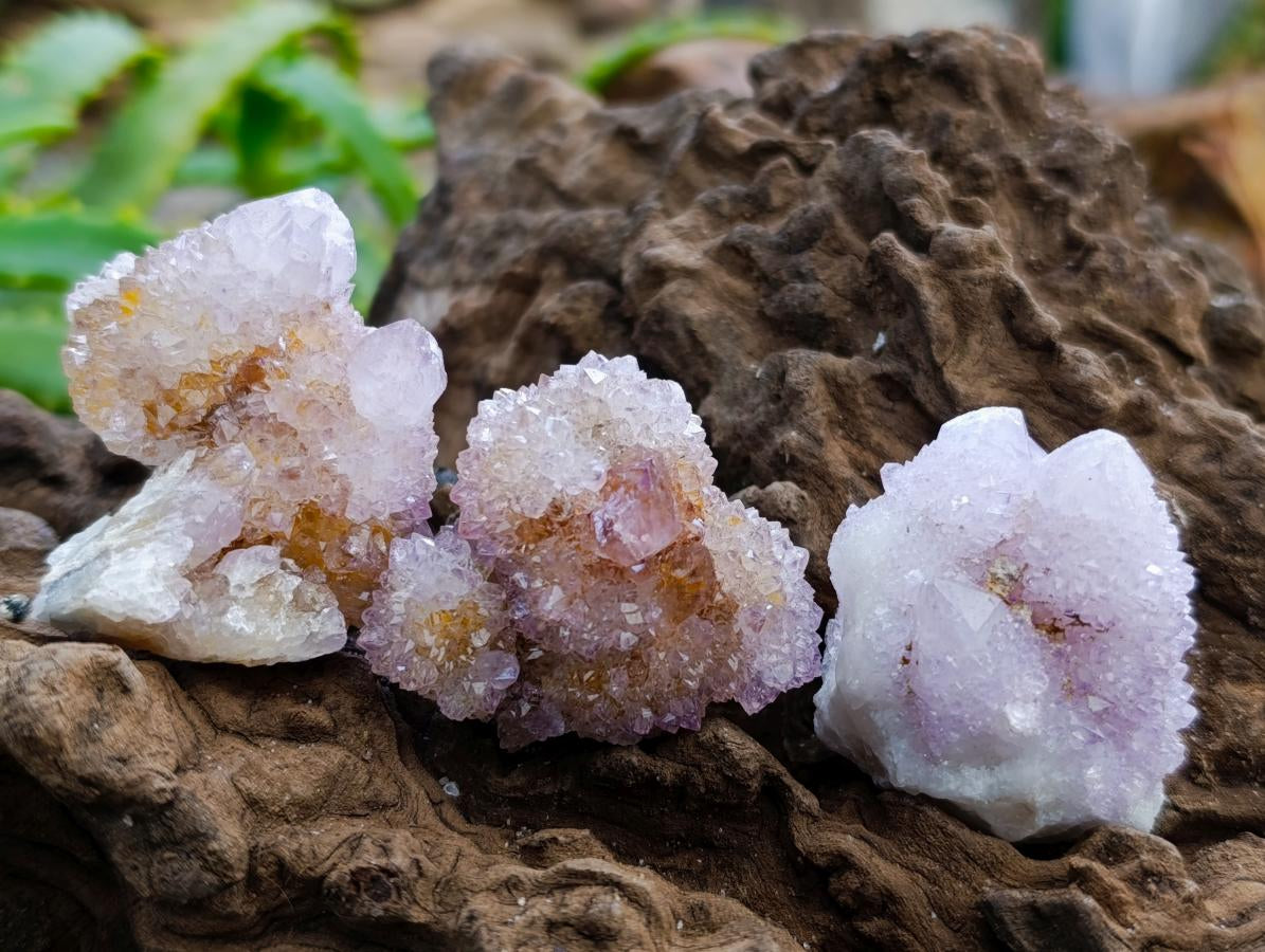 Natural Mixed Amethyst Spirit Quartz Clusters x 35 From Boekenhouthoek, South Africa
