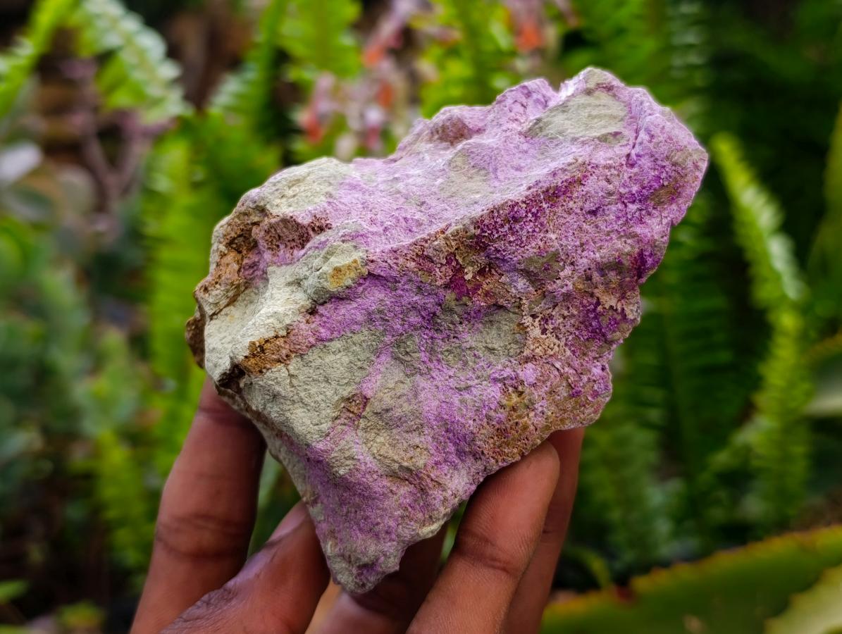 Natural Stichtite Cobbed Specimens x 8 From Barberton, South Africa