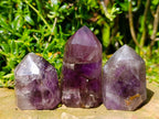 Polished Window Smokey Amethyst Crystals x 6 From Akansobe, Madagascar