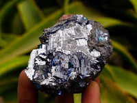 Natural Bright Silver Lead Galena Cobbed Specimens x 6 From Kaokoveld, Namibia