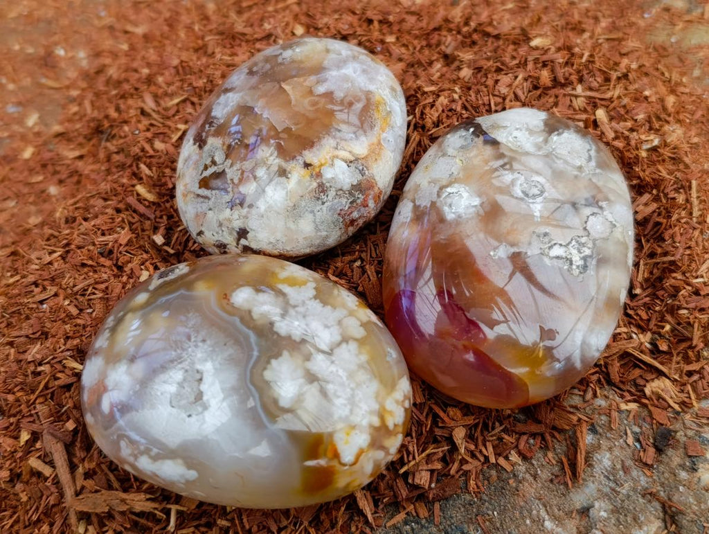 Polished Flower Agate Galets x 12 From Antsahalova, Madagascar