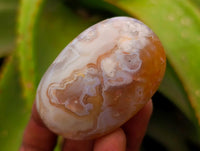 Polished Flower Agate Galets x 12 From Antsahalova, Madagascar