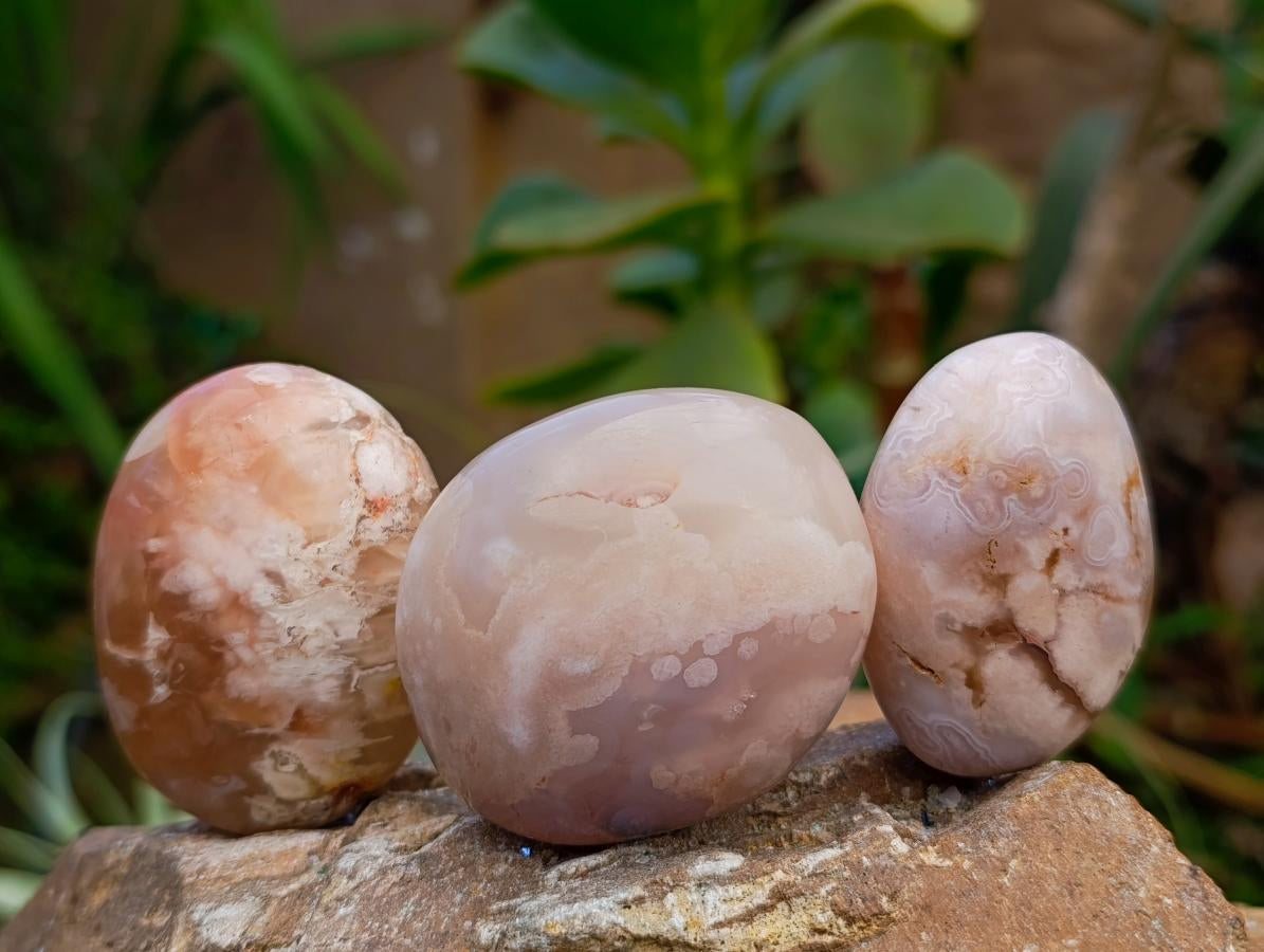 Polished Flower Agate Galets x 12 From Antsahalova, Madagascar