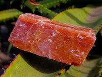 Natural Sunset Orange Calcite Specimens x 3 From Spitzkop, Namibia