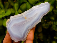 Polished On One Side Blue Lace Agate Geodes x 6 From Nsanje, Malawi
