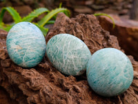 Polished Amazonite Palm Stones x 25 From Madagascar