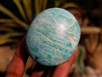 Polished Amazonite Palm Stones x 25 From Madagascar
